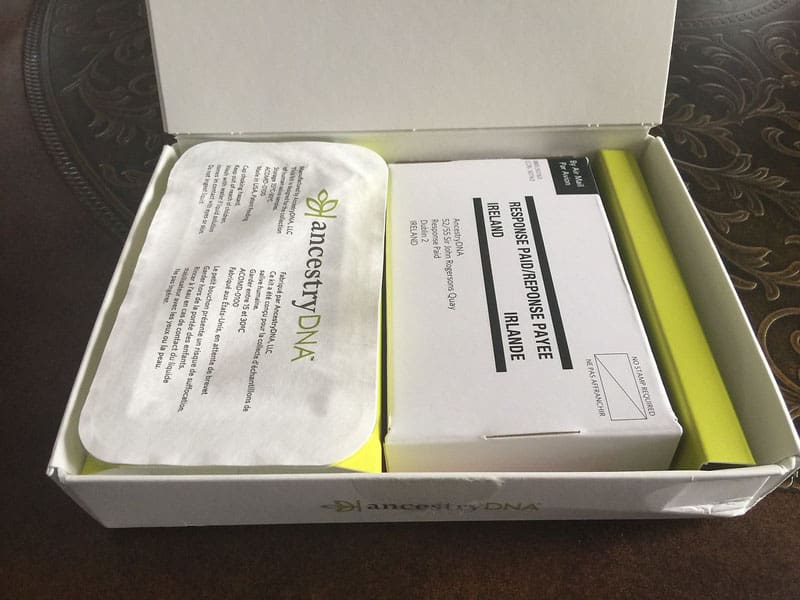 ancestrydna kit