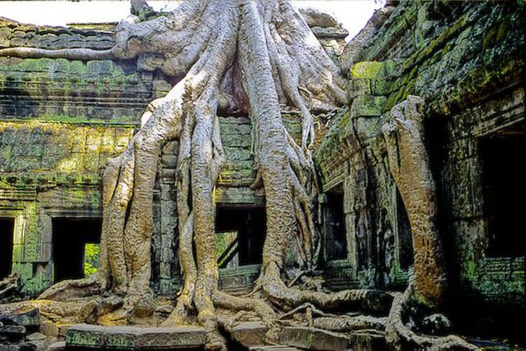 tips to visit angkor wat ta phrom temple