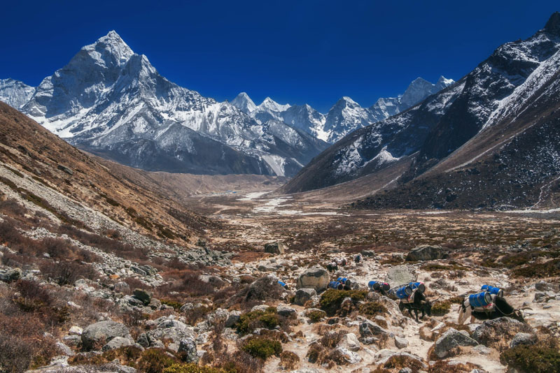 base camp trek photos porters