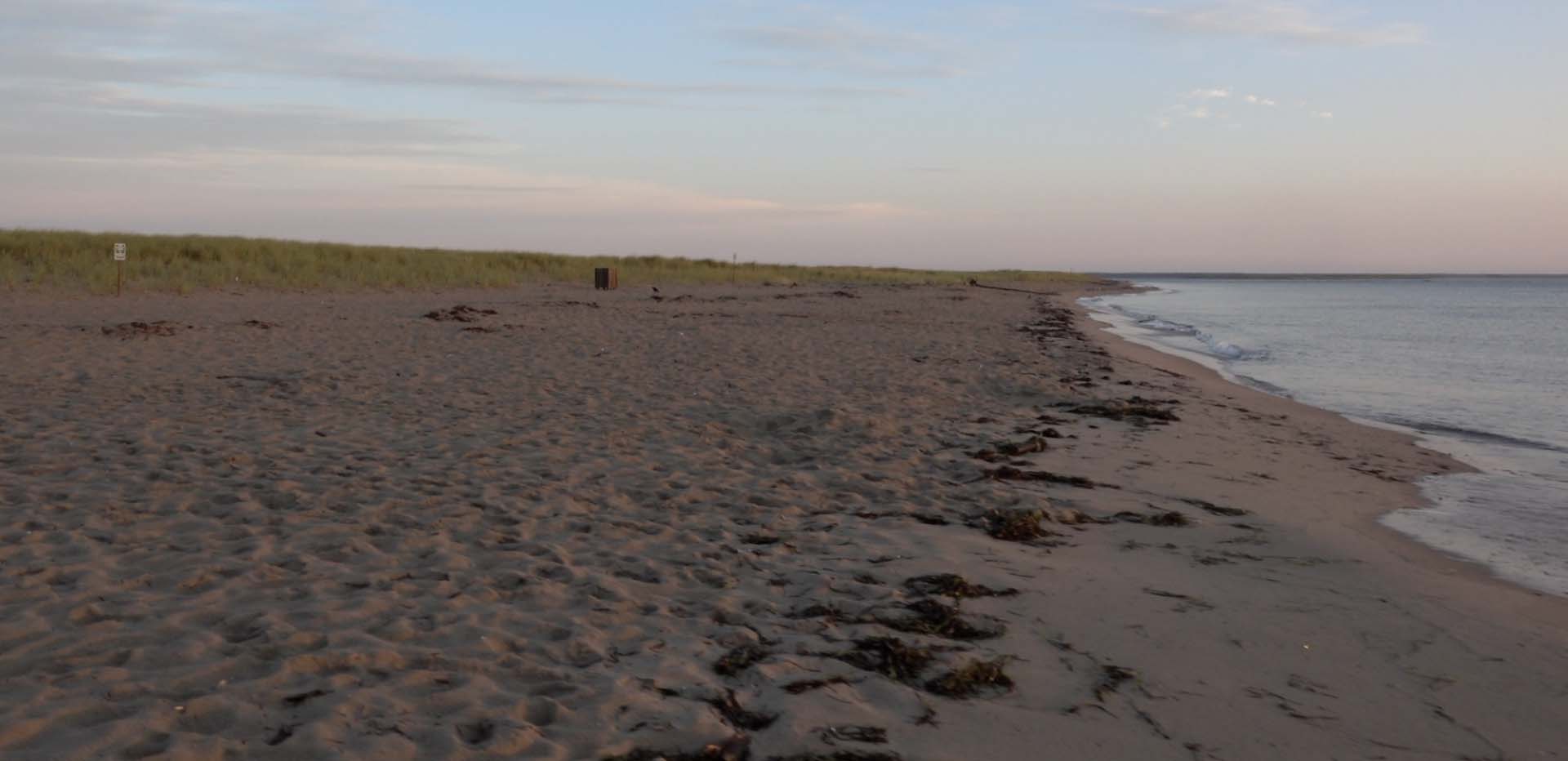 beach in prince edward island