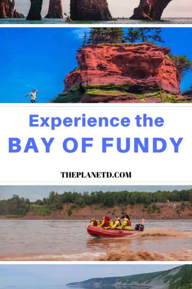 best bay of fundy adventures