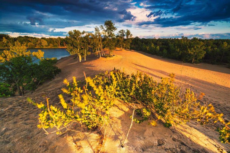 14 Best Beaches in Ontario to Visit in 2025 (Local Faves!) - The Planet D