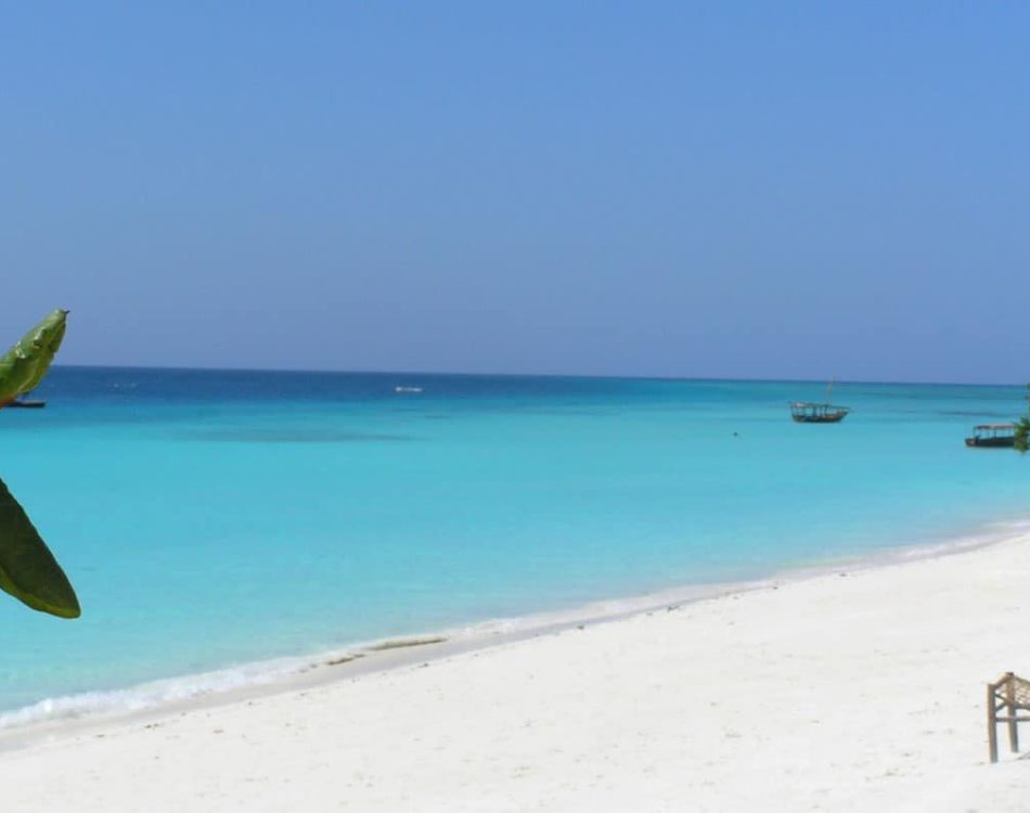 Discover The Best Beaches in Zanzibar