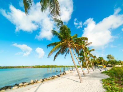 Discovering the 19 Best Beaches in Florida: Sun, Sand, and Serenity