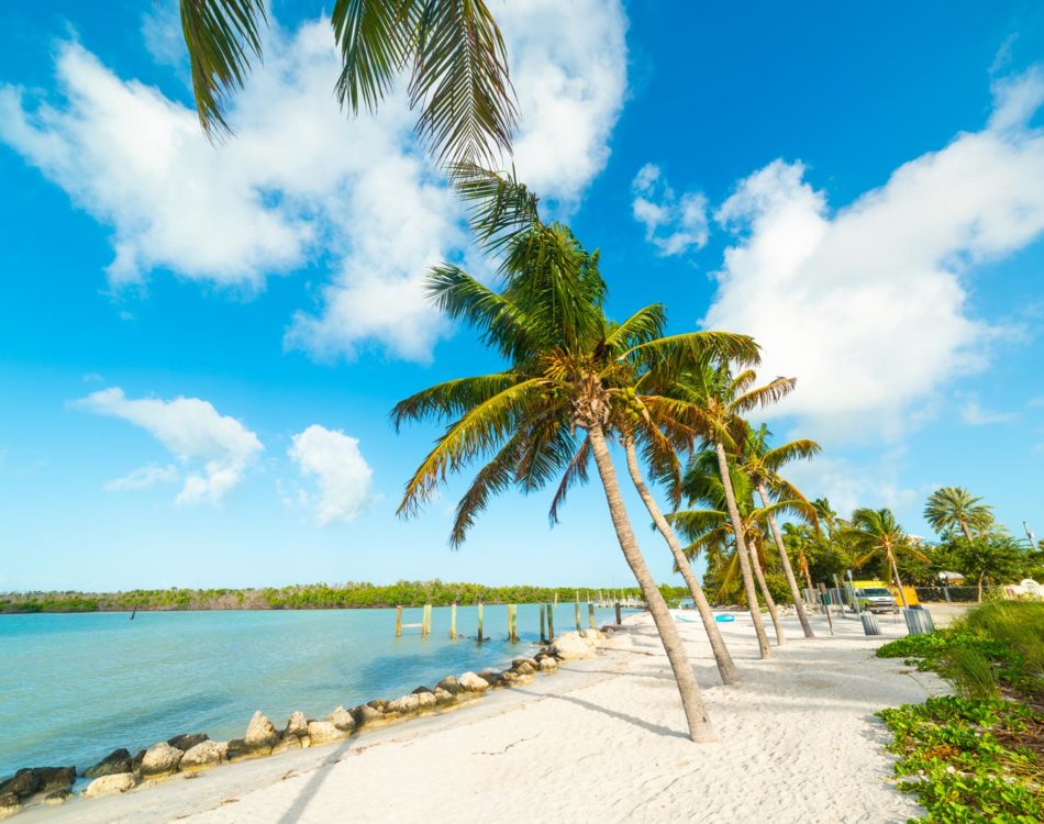 Discovering the 19 Best Beaches in Florida: Sun, Sand, and Serenity