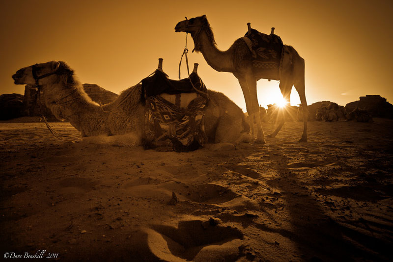 bedouin camping sunset