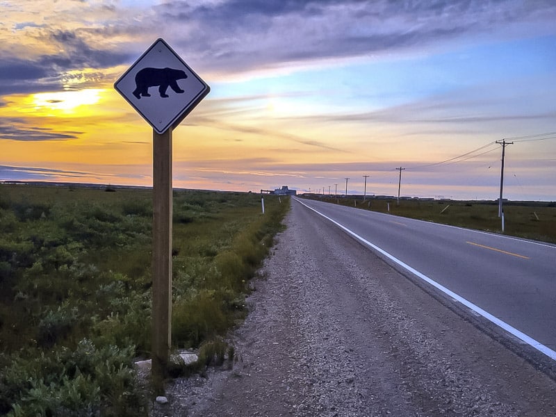 Churchill Manitoba w Kanadzie przejście na niedźwiedzia polarnego