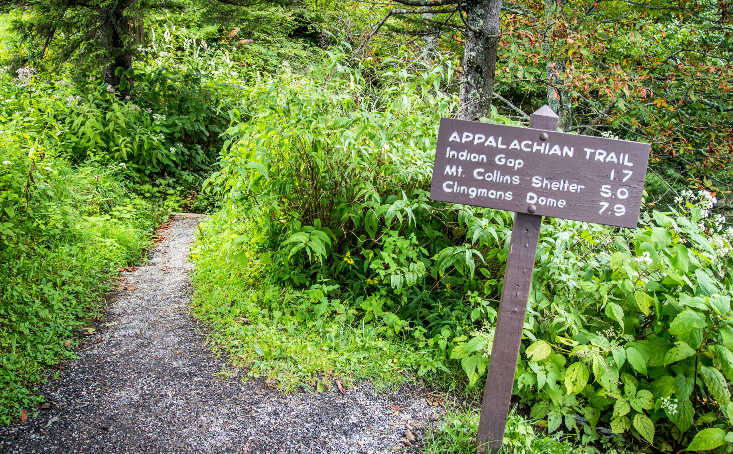 best treks in the world Appalachian Trail