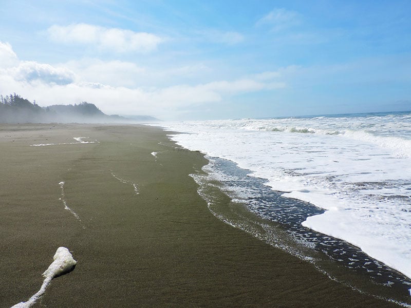 las mejores playas de goldbluffs de california's best beaches