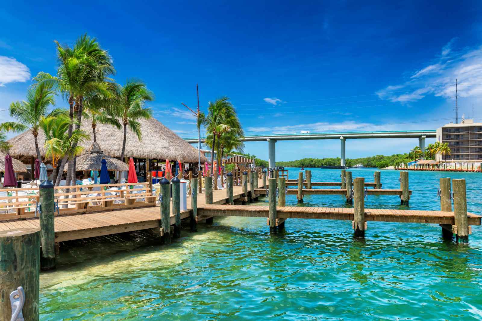 7 Best Beaches in Key Largo - Private And Public - The Planet D