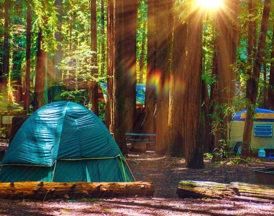 Top 19 Best Places to Camp in California