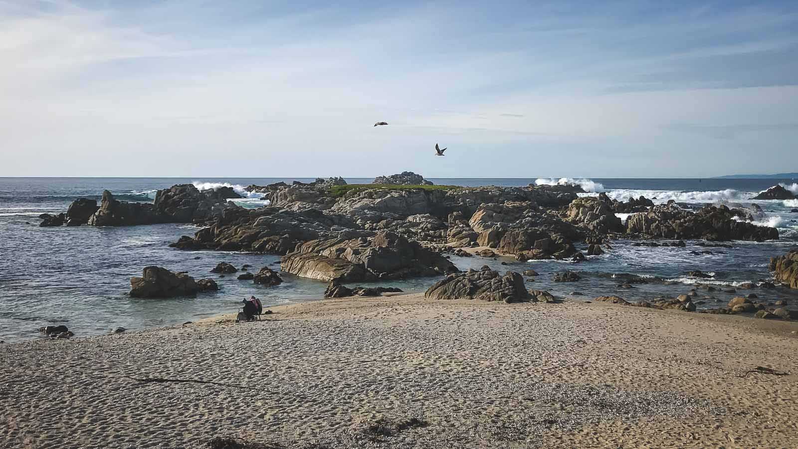 best day trips from san francisco point lobos