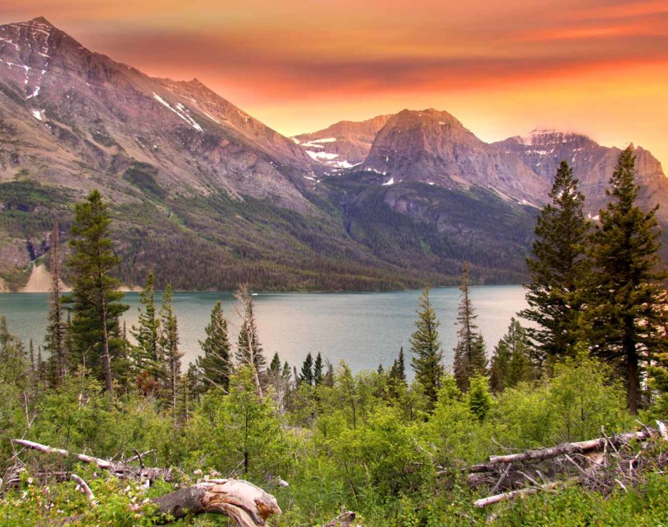 16 of the Best Glacier National Park Hikes