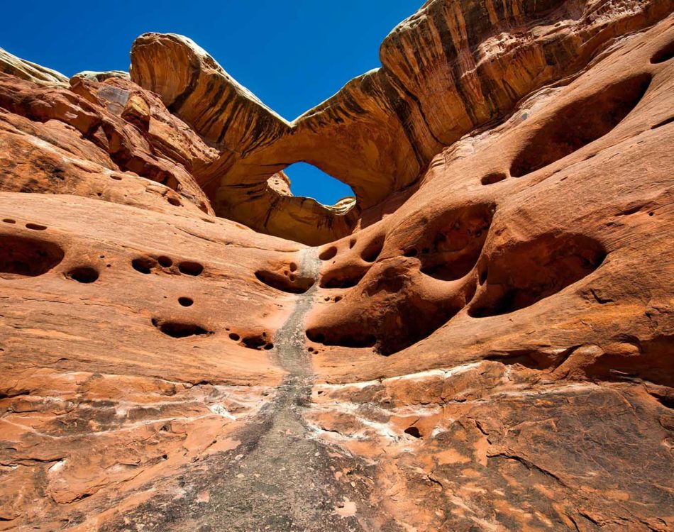 12 Best Hikes in Moab, Utah