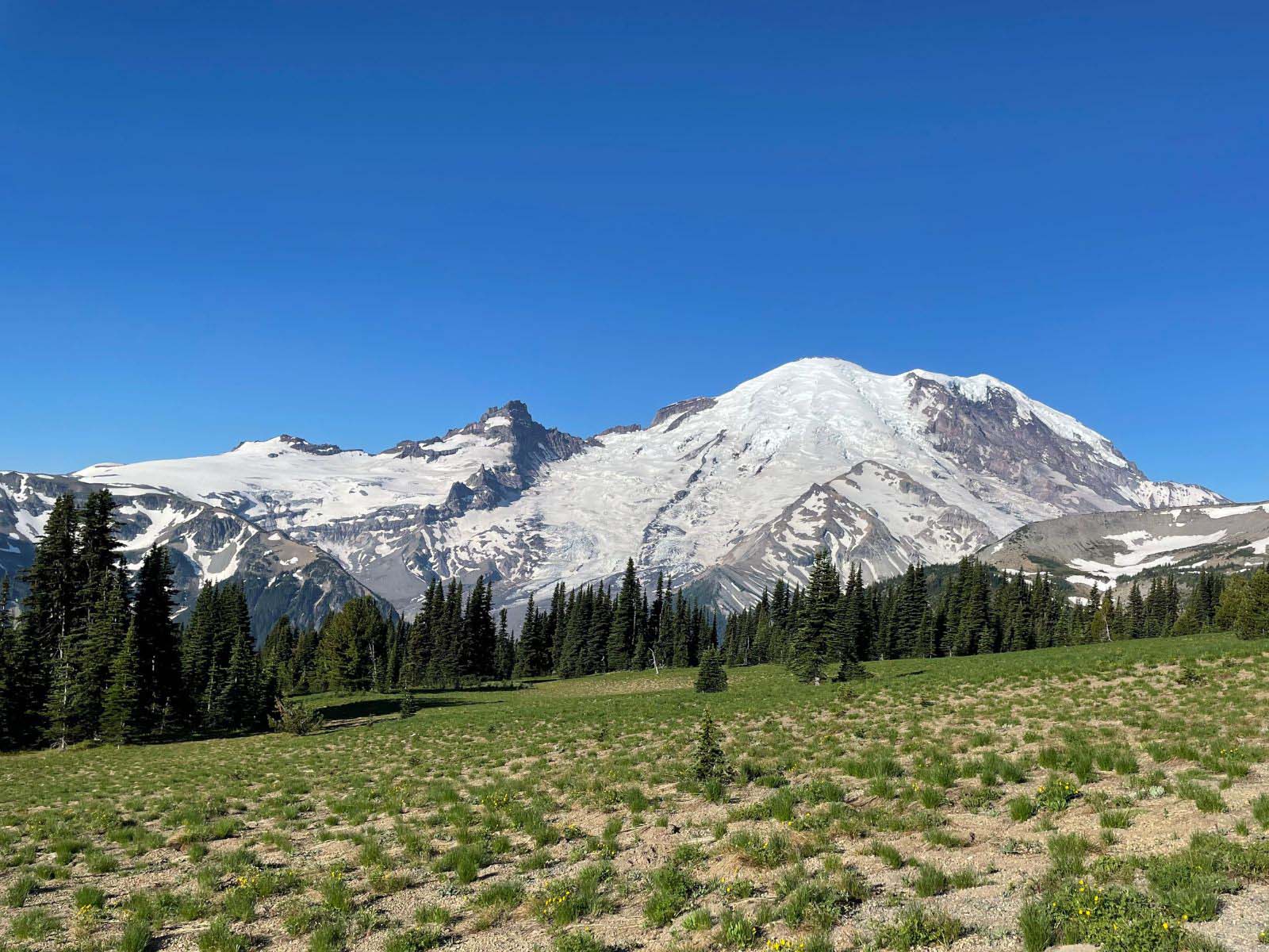 hikes in mount ranier national park sunrise nature trail