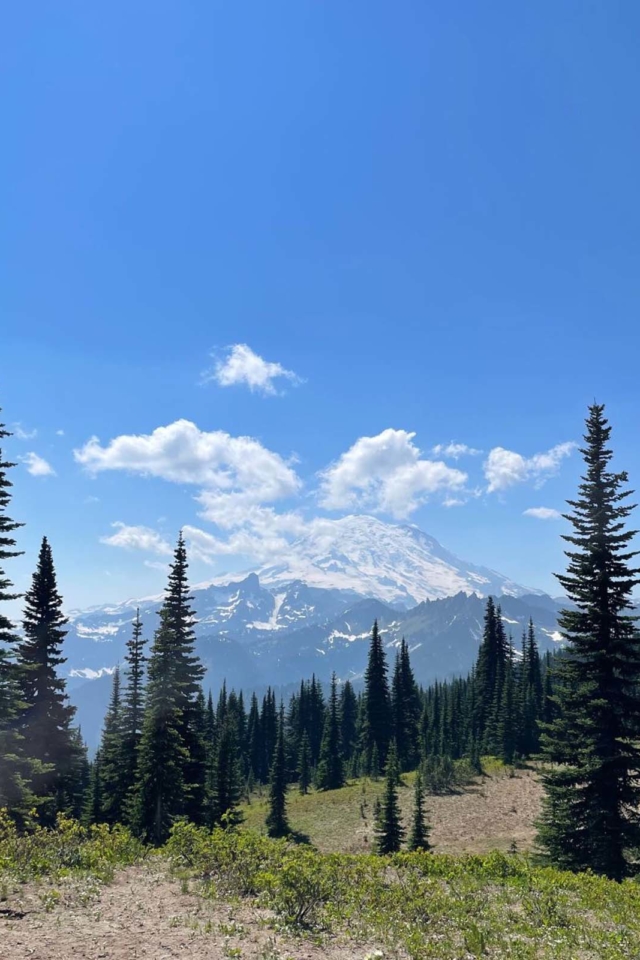 best hikes in mount rainuer Nisqually Vista