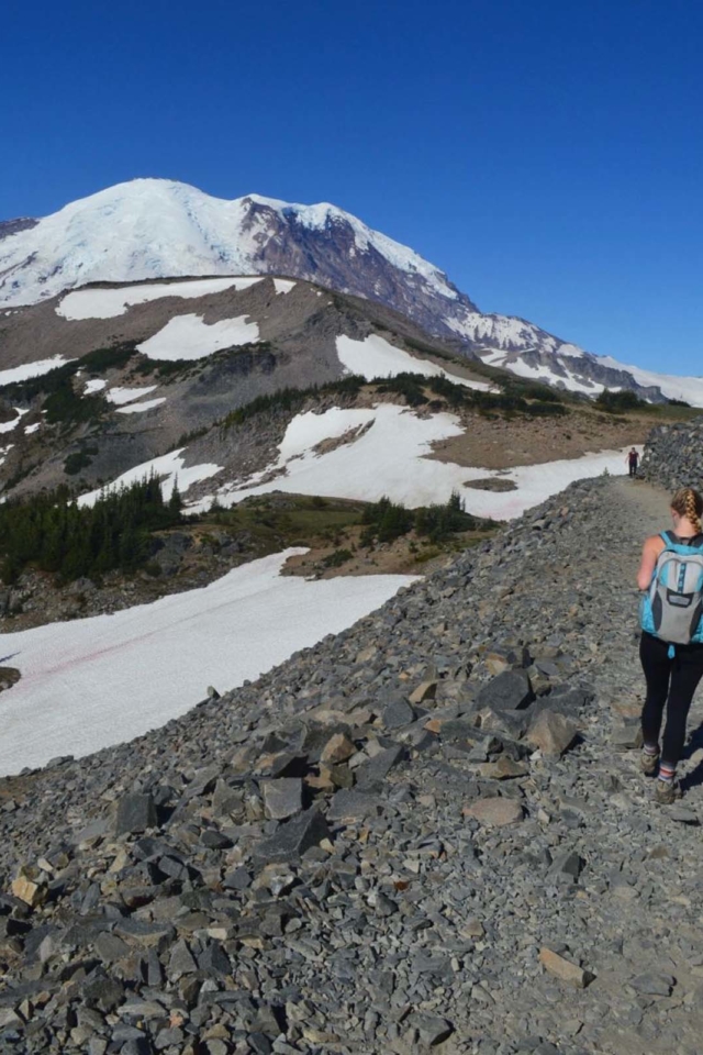the best hikes in mt ranier Burroughs Mountain 