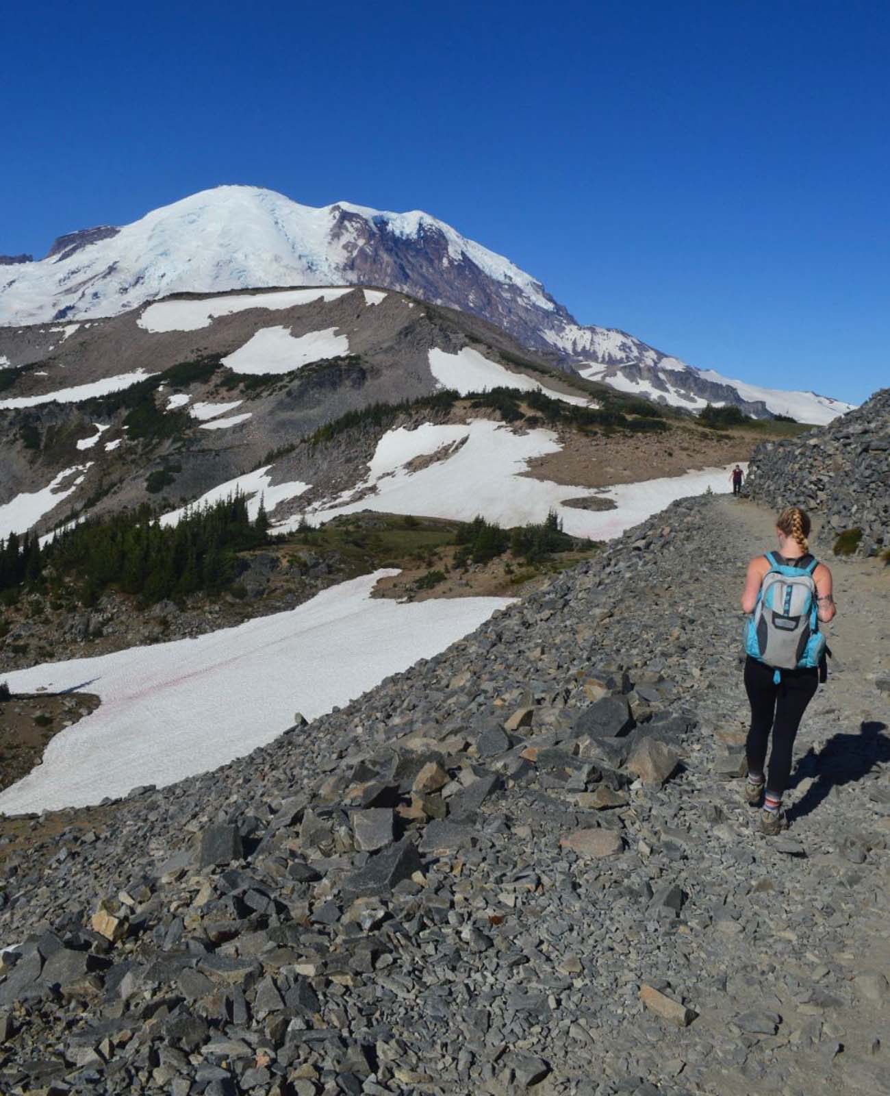 the best hikes in mt ranier Burroughs Mountain