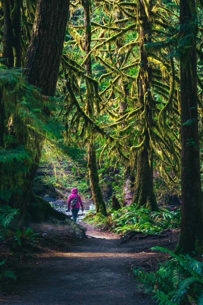 best national parks in the usa olympic national park