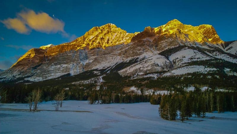 winter in albrerta