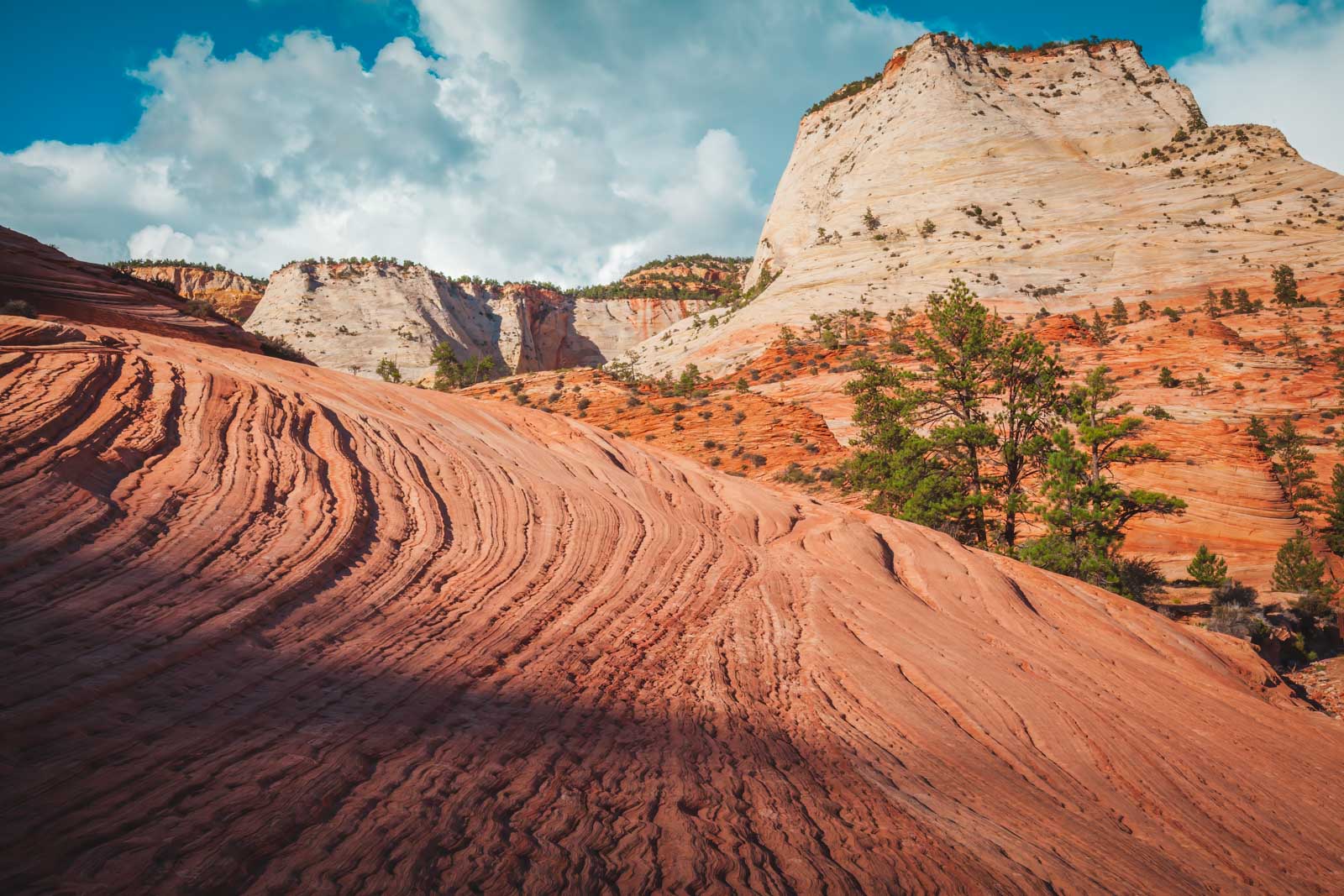 Best Places to Go in America in January Zion