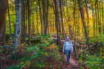 Best Places to Visit in September USA