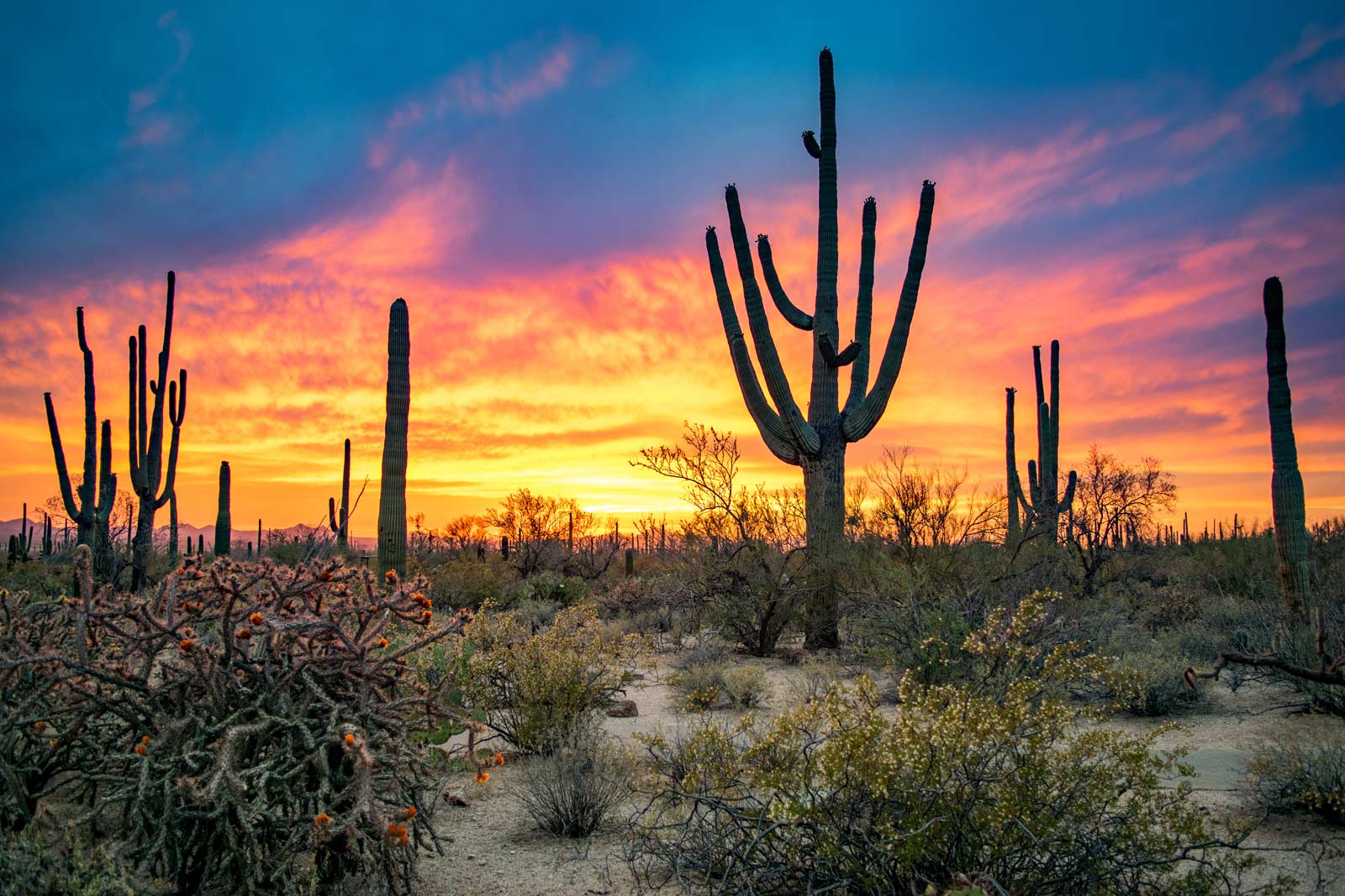 26 Top Places to Visit in Arizona