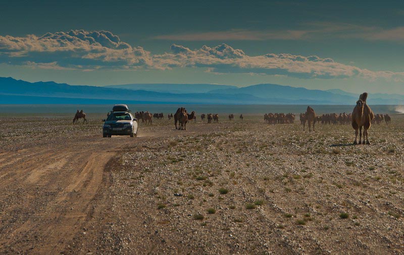 roadtrips round the world mongol rally