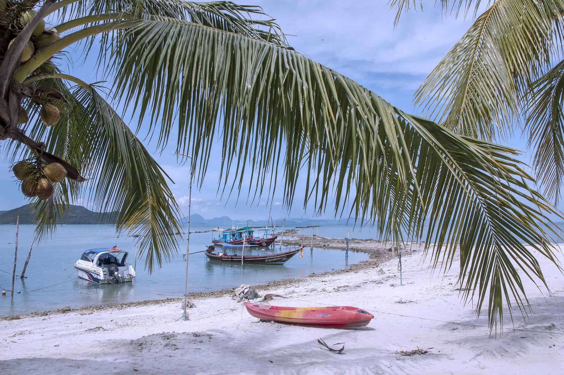 koh samui palm trees and boats on beach