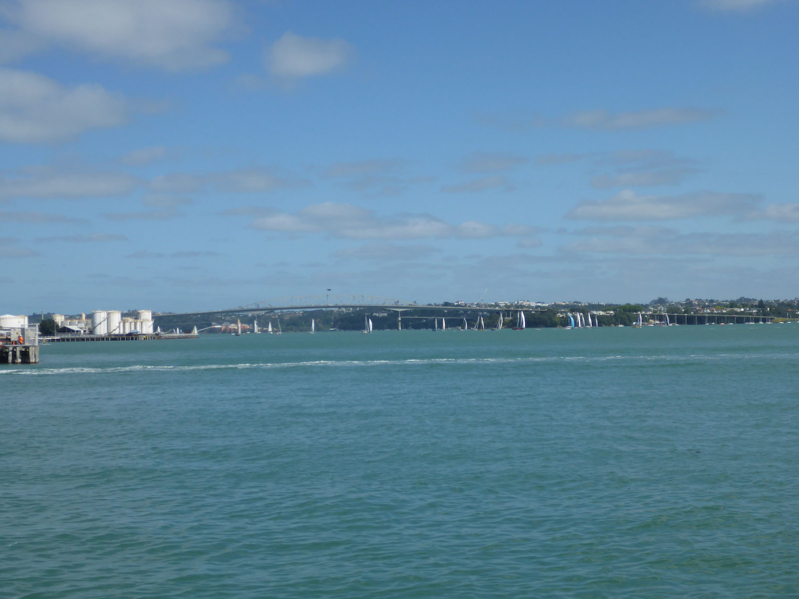 things to do in auckland harbour bridge