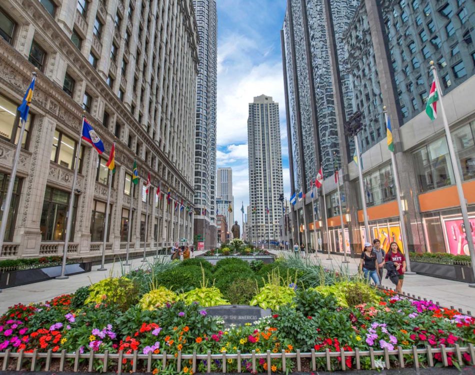 29 of the Best Things to Do in Chicago in 2024