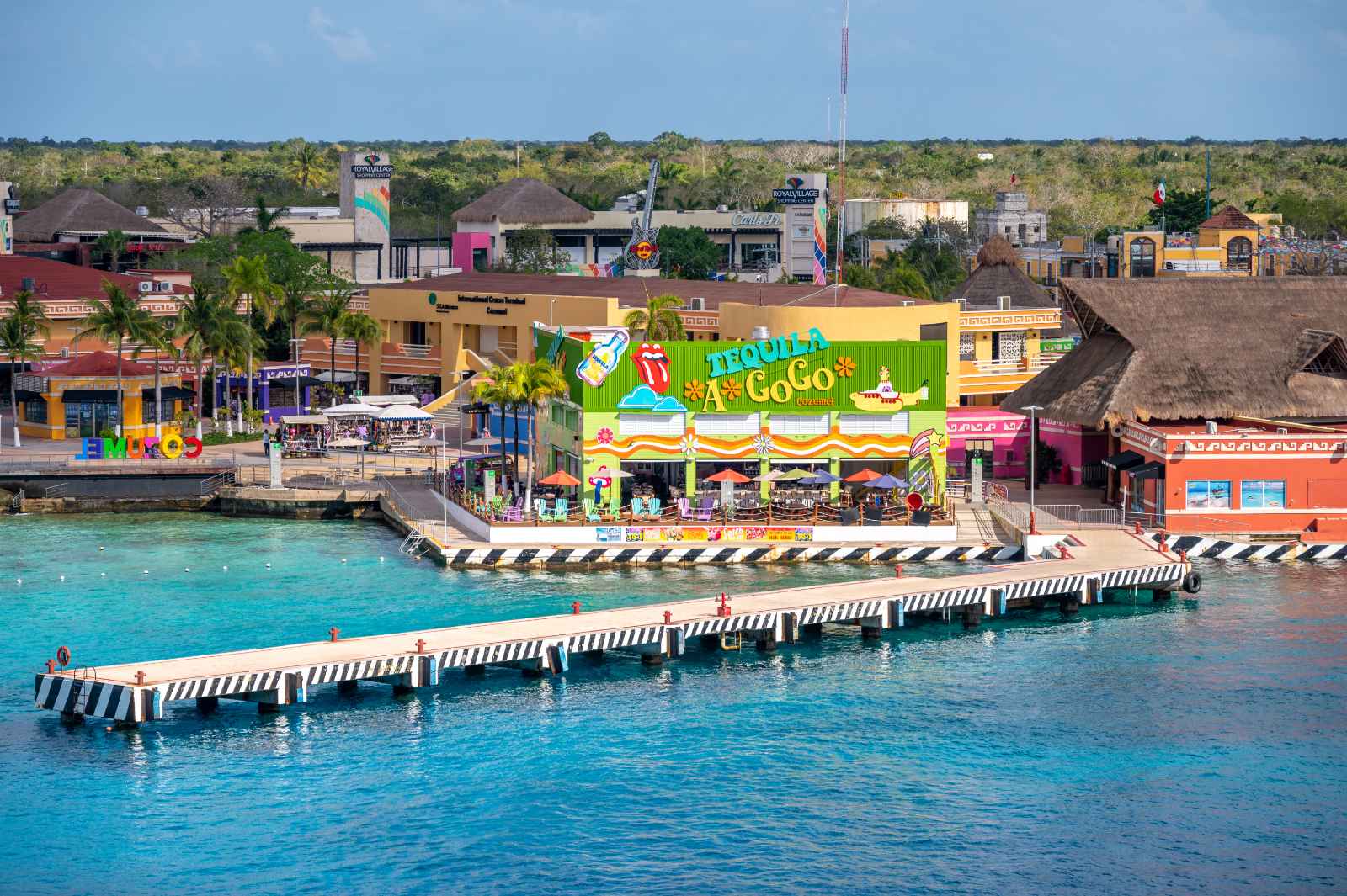 best things to bash  successful  cozumel harbour skyline