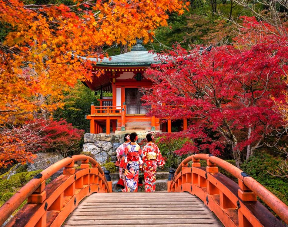 24 Best Things to Do in Kyoto, Japan (2024 Update)