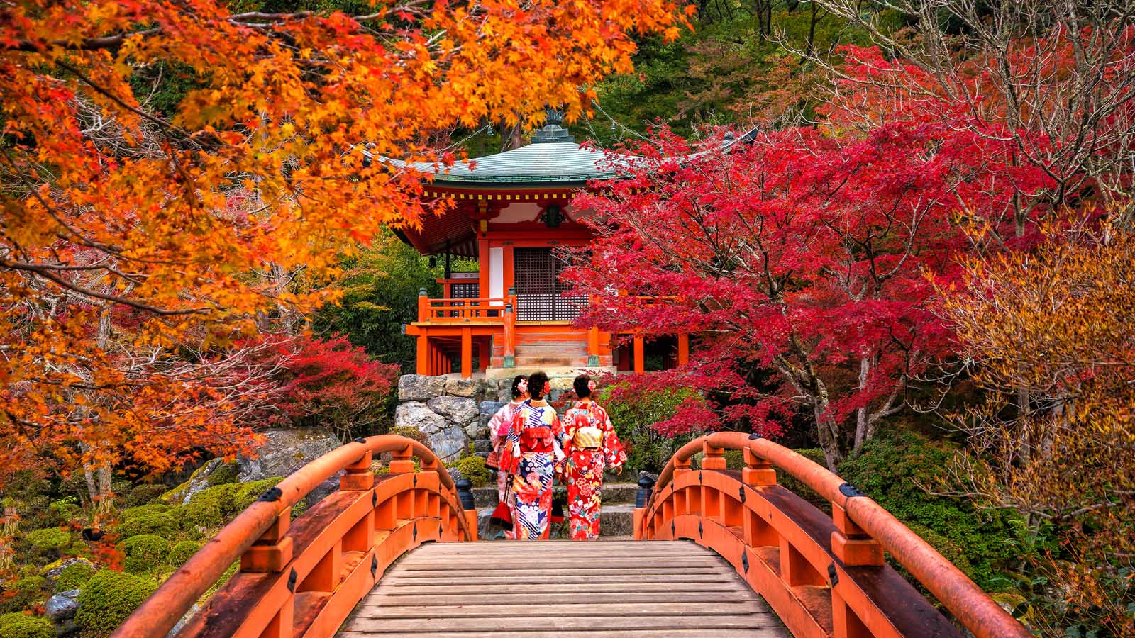 best things to bash  successful  kyoto japan