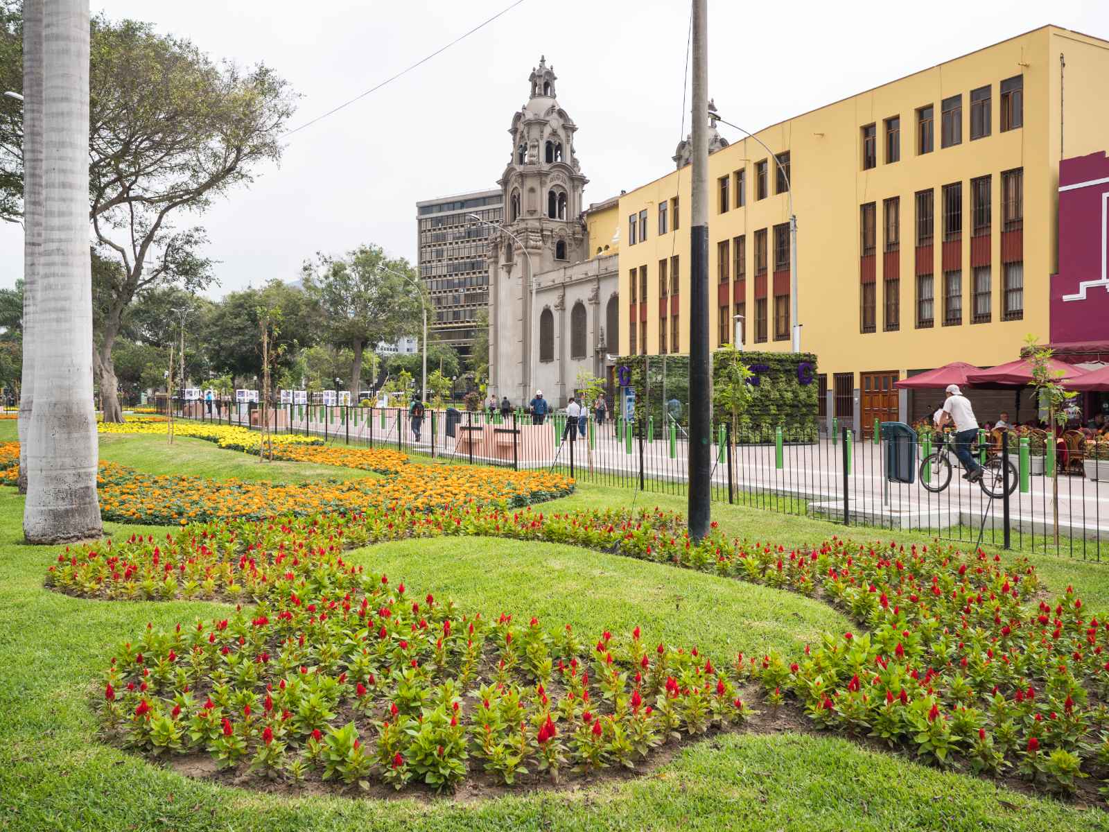 best things to do in lima peru Kennedy Park