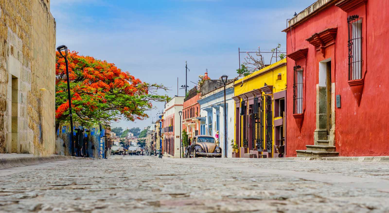 best things to do in oaxaca mexico