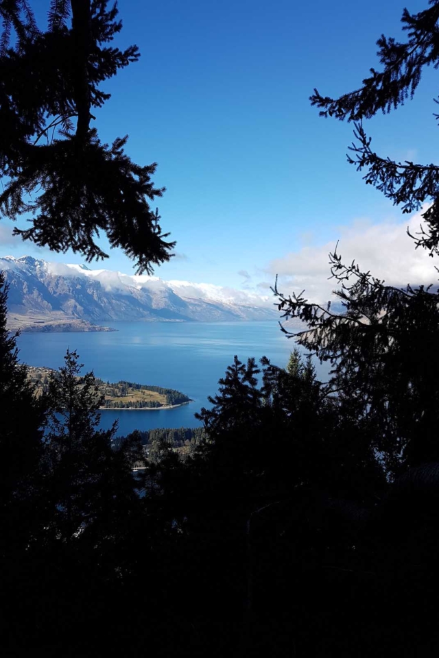 things to do in queenstown costs