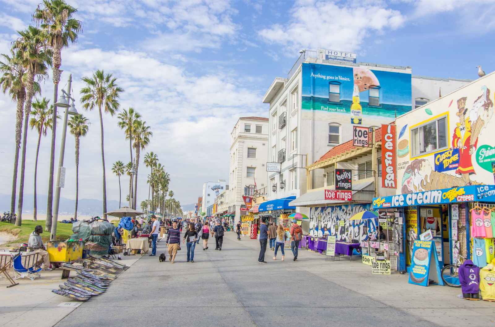 Best things to do in Venice beach