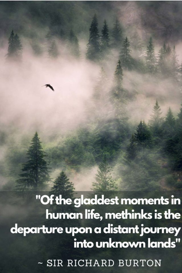 best travel quotes Of the gladdest moments in human life, methinks is the departure upon a distant journey into unknown lands.