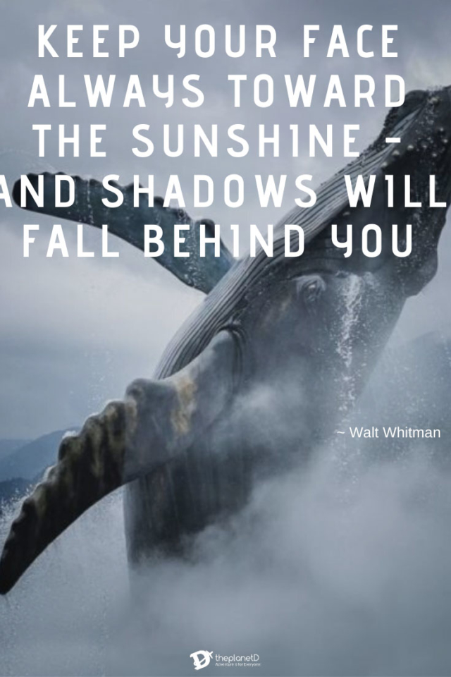 best traveling quotes | walt whitman