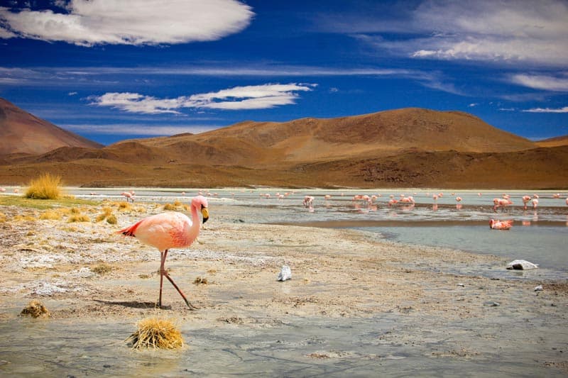 salt flat bolivia 3 day tour