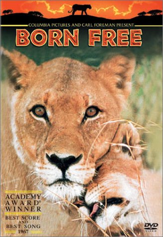Born Free Lives on in Kenya |Travel Blog | The Planet D
