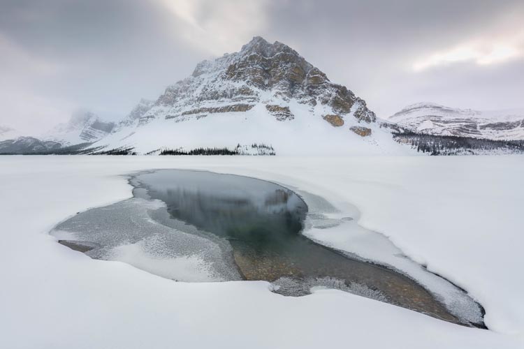 bow lake in winter
