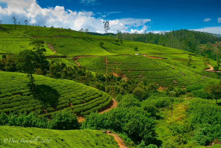 A Little Bit of Britain in Sri Lanka | The Planet D | Adventure Travel Blog