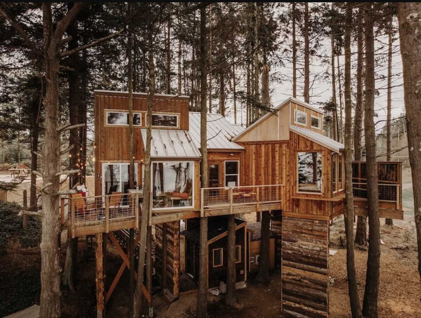 vacation rentals washington tree frame cabin