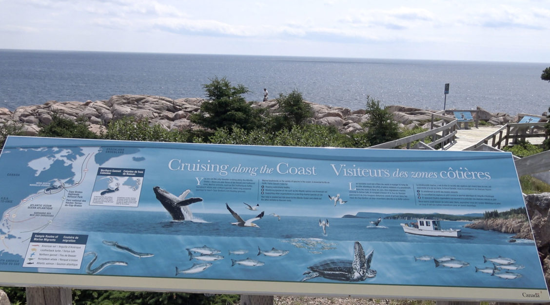 tours along the cabot trail