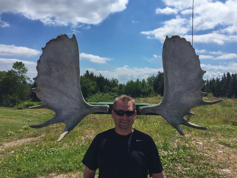 cabot trail moose