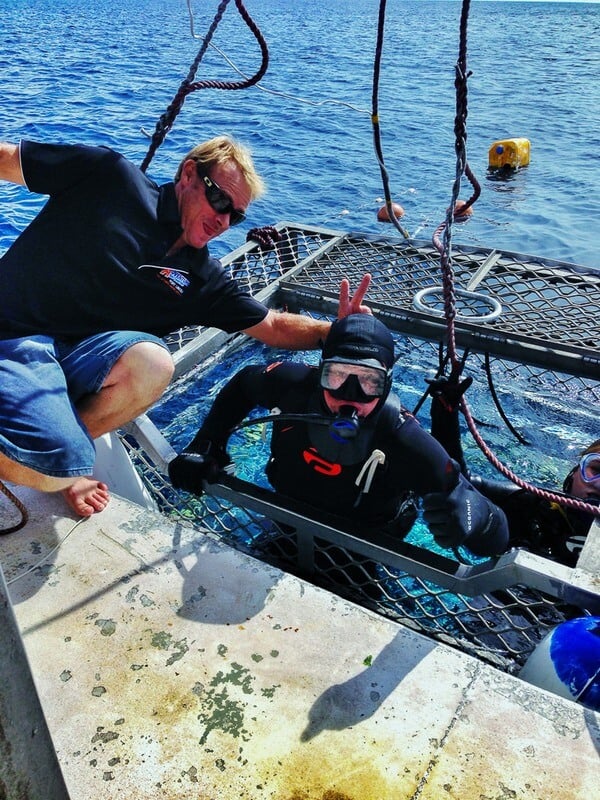 Great White Sharks Cage Diving in South Australia | The Planet D