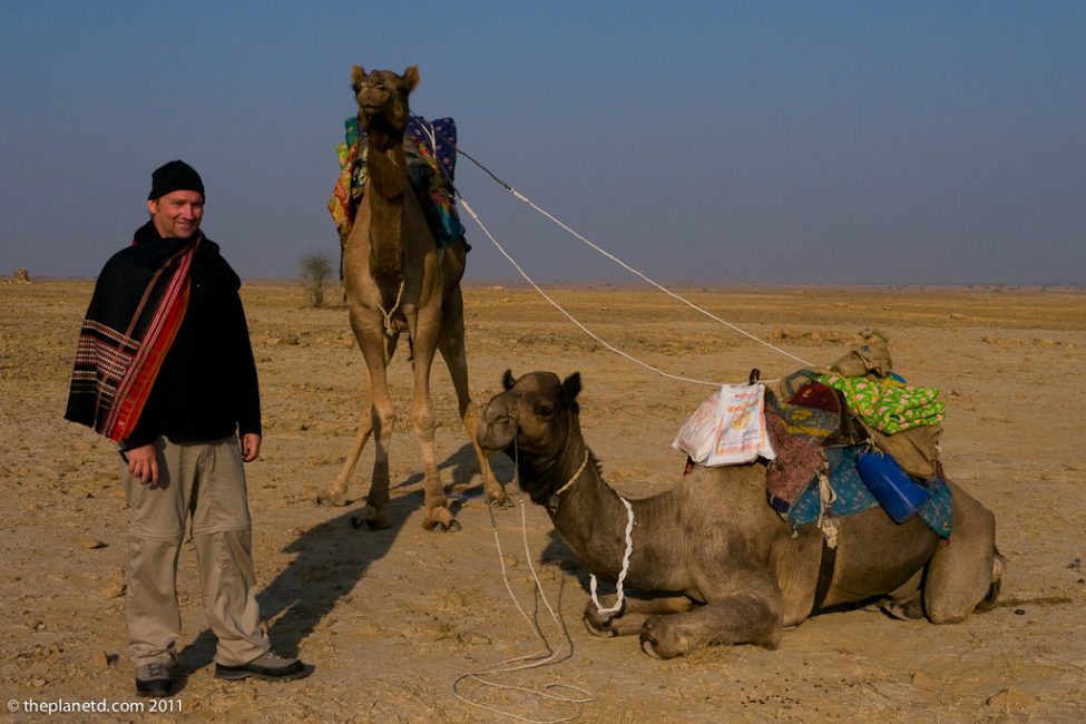 dave camel safari india