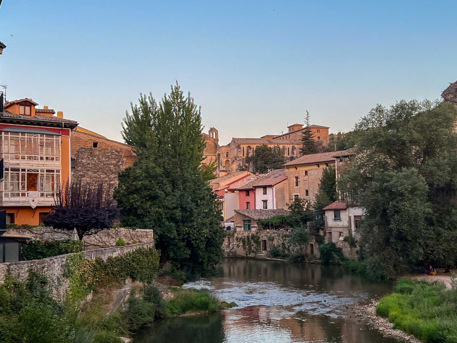 Mencía grape vineyards in Bierzo